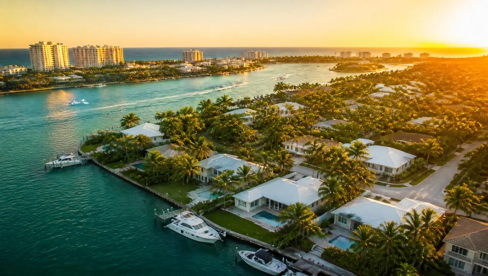 Florida coastline with palm trees at golden hour